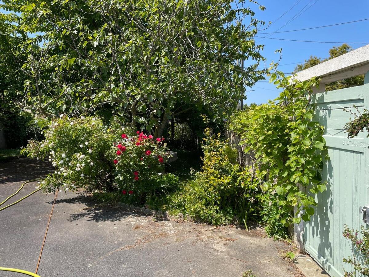 La Maison De Marie A 5 Minutes A Pied De La Plage Avec Parking Privee Et Gratuit 滨海利翁 外观 照片